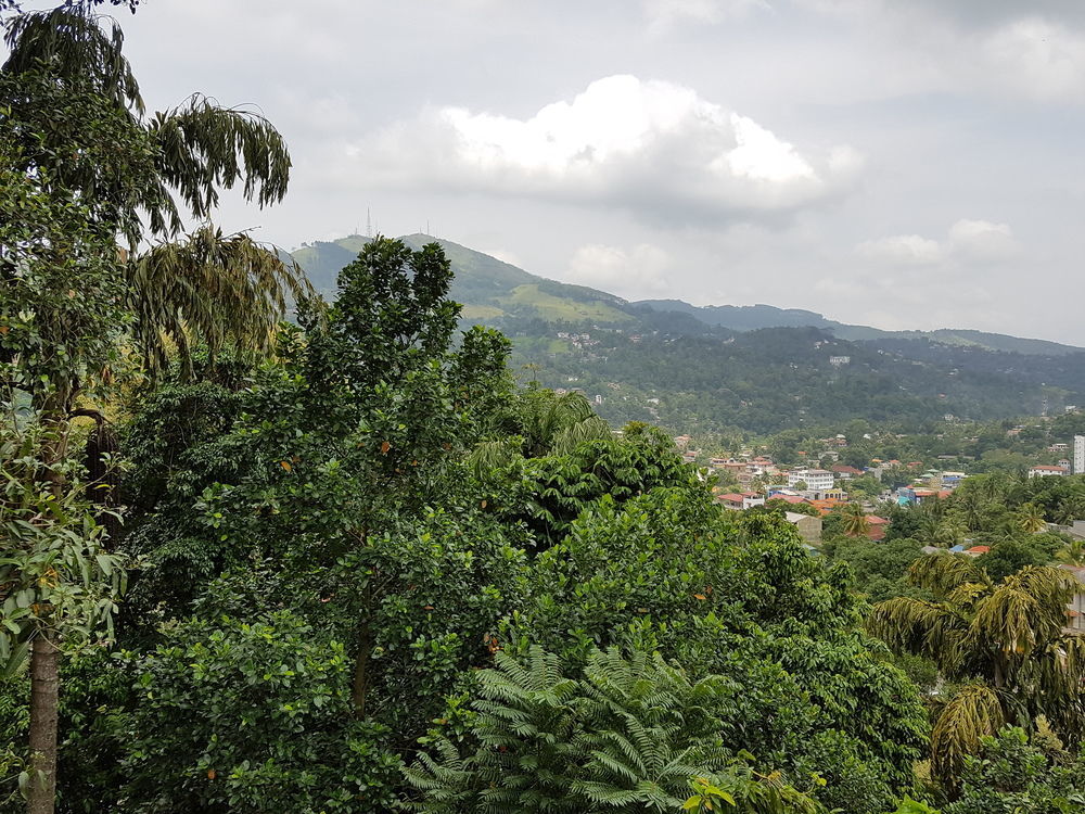 Villa 107 Kandy Dış mekan fotoğraf